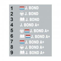 Sticker Pilote copilote Allemagne