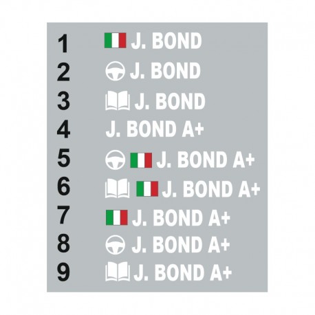 Sticker Pilote copilote Luxembourg