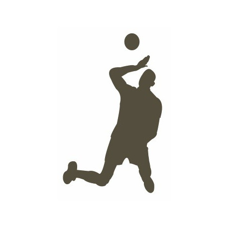 Sticker mural Volley