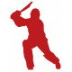 Sticker Cricket anglais