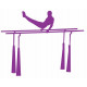 Sticker Barre parallele