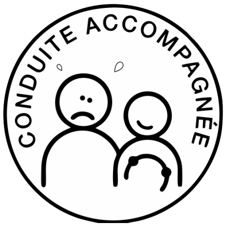 Sticker Conduite accompagnée Triste