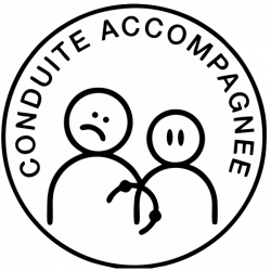 Sticker Conduite accompagnée Humour