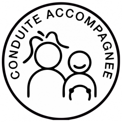 Autocollant Conduite accompagnée Humour