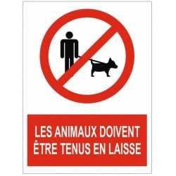 Autocollant nos amis les chiens ne sont pas admis