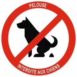 Autocollant nos amix les chiens ne sont pas admis
