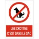 Autocollant déjections canine interdites