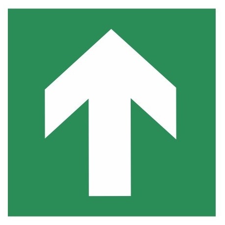 Panneau fenetre de secours avec echelle de secours