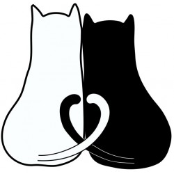 Sticker chat roux à bord