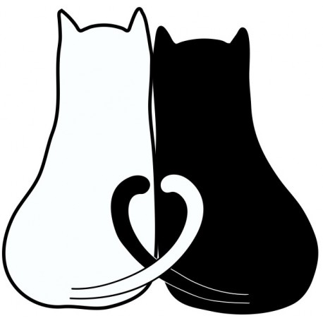 Sticker chat roux à bord