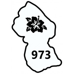 Stickers carte Guyane drapeau