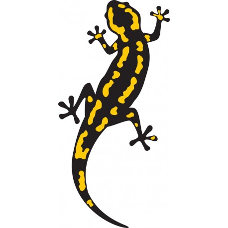 Autocollant trefle porte bonheur