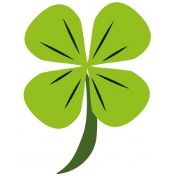 Autocollant salamandre flash