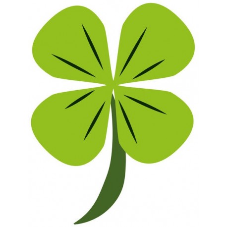 Autocollant salamandre flash