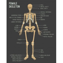 autocollant mural multiplications