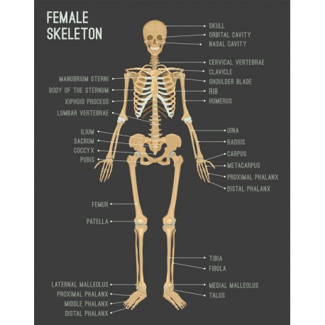 autocollant mural multiplications