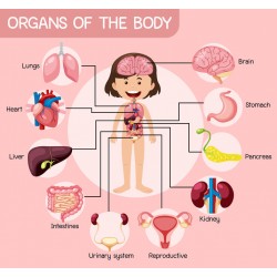 sticker corps humain fille