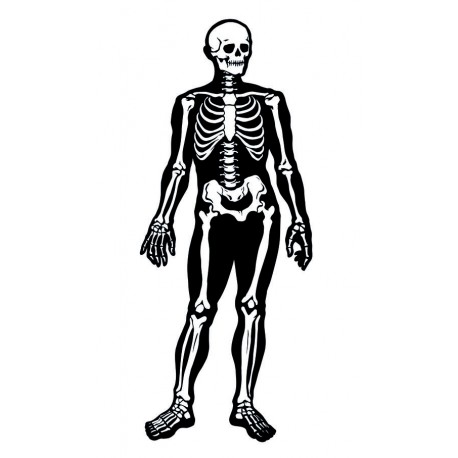 sticker mural squelette