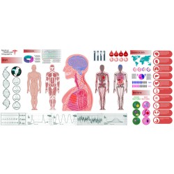 stickers muraux corps