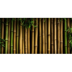 autocollant bambou pas cher