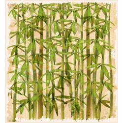 autocollant mural bambou pas cher