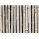 autocollant mural bambou vert