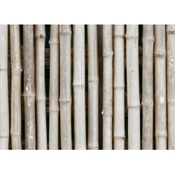 autocollant mural bambou vert