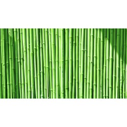 stickers muraux bambou geant