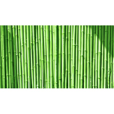 stickers muraux bambou geant