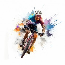adhesif bmx couleurs