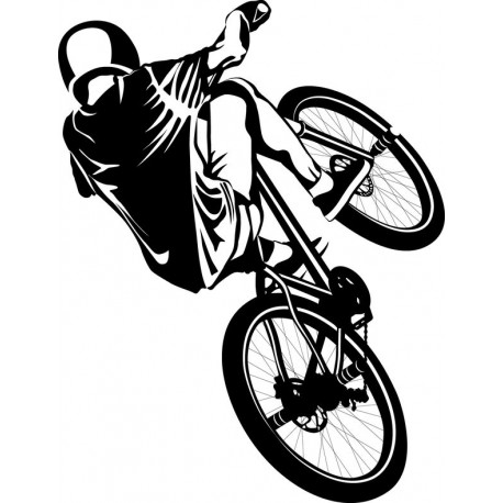 autocollant bmx freestyle pas cher