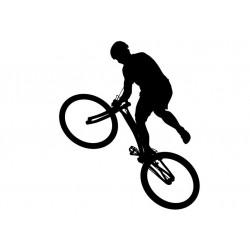autocollant bmx garcon