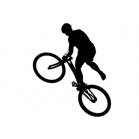 autocollant bmx garcon
