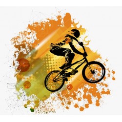 autocollant bmx pas cher