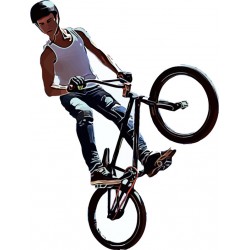 autocollants bmx freestyle chambre