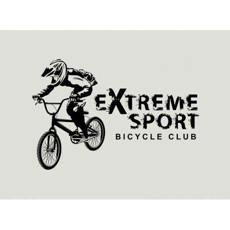 autocollants bmx freestyle deco