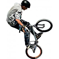 autocollants bmx freestyle decoratif