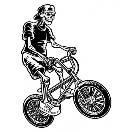 autocollants bmx freestyle decoration