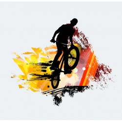 sticker bmx chambre