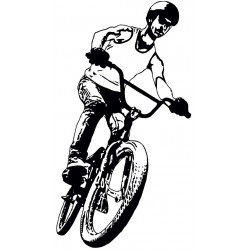 stickers velo bmx chambre