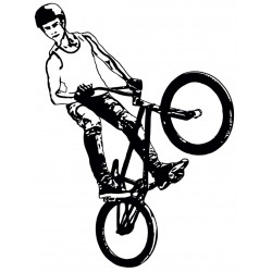 stickers velo bmx decoration