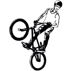 stickers velo bmx noir et rouge