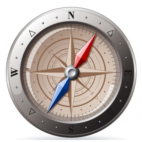 sticker boussole geant