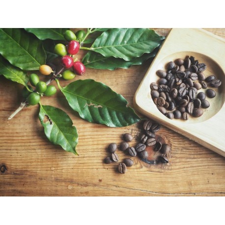 autocollant mural cafe