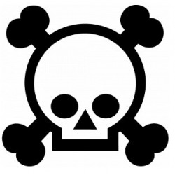 Sticker muraux Tête de mort voiture