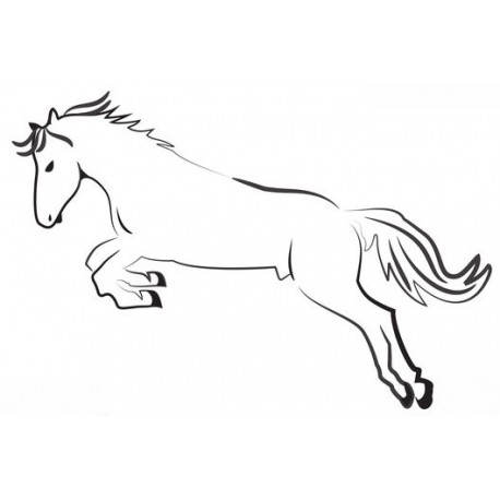 adhesif cheval mutlicolores