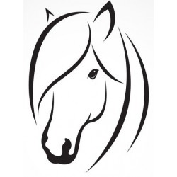 adhesif cheval salon