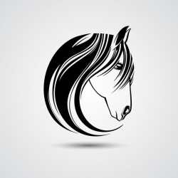 autocollant cheval decoration