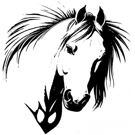 autocollant mural cheval chambre enfant