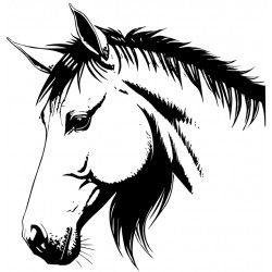autocollant mural cheval decoration